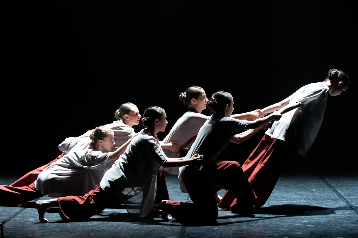 page-formation-du-danseur-la-zone-a-danser